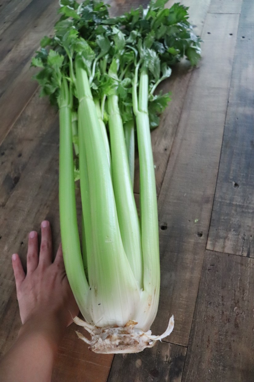 10742135040_IMG_1355